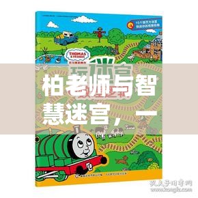 柏老師與智慧迷宮，寓教于樂的數(shù)字探險(xiǎn)之旅