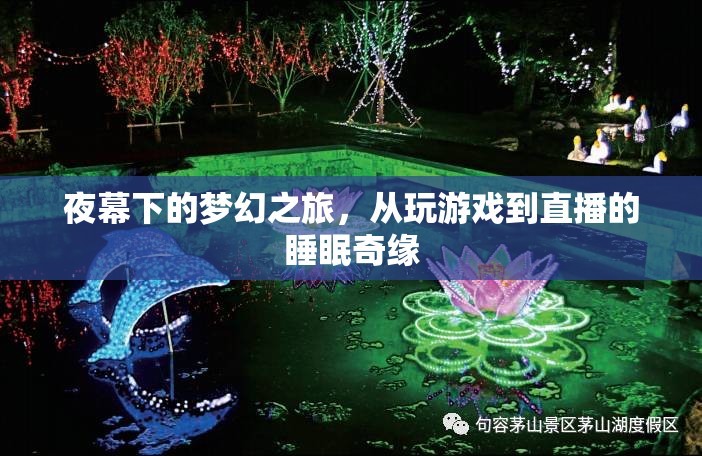 夜幕夢幻之旅，從游戲到直播的睡眠奇緣