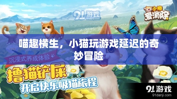 喵趣橫生，小貓在虛擬游戲世界中的奇妙延遲冒險