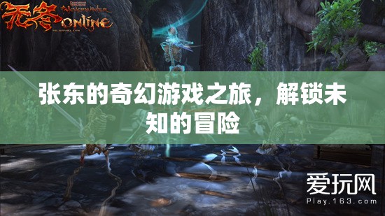張東的奇幻游戲之旅，解鎖未知的冒險(xiǎn)