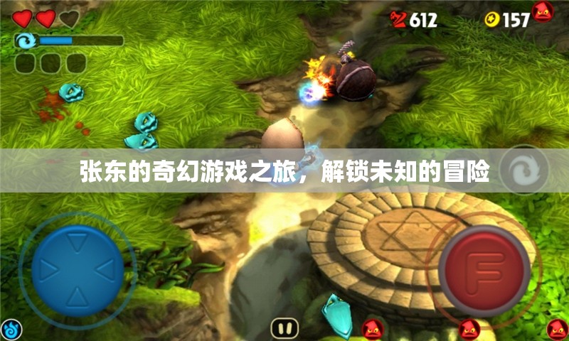 張東的奇幻游戲之旅，解鎖未知的冒險(xiǎn)