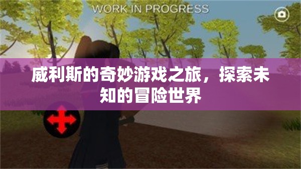 威利斯的奇妙游戲之旅，探索未知的冒險(xiǎn)世界
