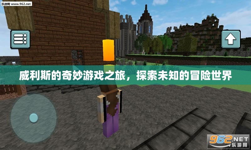 威利斯的奇妙游戲之旅，探索未知的冒險(xiǎn)世界