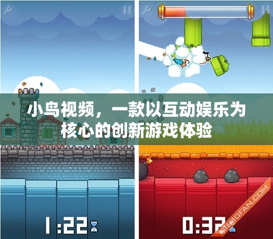 探索互動(dòng)娛樂(lè)新境界，小鳥(niǎo)視頻游戲體驗(yàn)