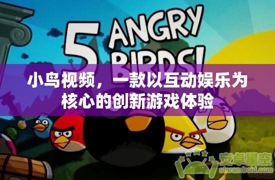 探索互動(dòng)娛樂(lè)新境界，小鳥(niǎo)視頻游戲體驗(yàn)