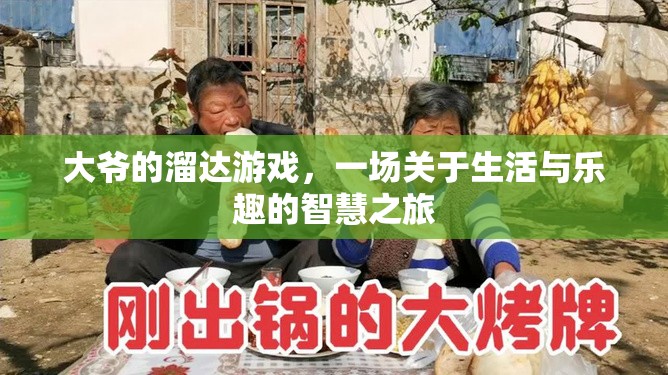 大爺?shù)牧镞_游戲，生活與樂趣的智慧之旅