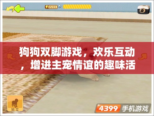 歡樂(lè)雙腳游戲，增進(jìn)主寵情誼的趣味互動(dòng)