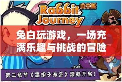 兔白游戲之旅，樂趣與挑戰(zhàn)并存的冒險故事  第1張