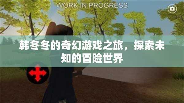 韓冬冬的奇幻冒險，探索未知的奇妙世界