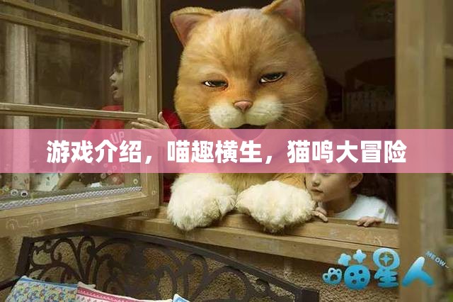 喵趣橫生，貓鳴大冒險(xiǎn)的奇幻之旅