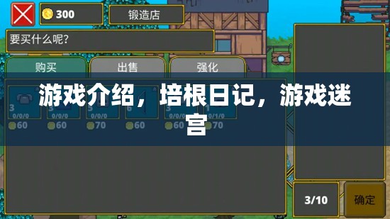 培根日記，游戲迷宮的冒險之旅