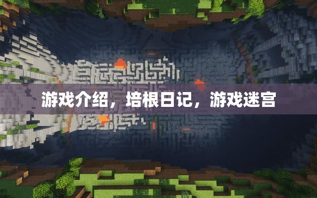 培根日記，游戲迷宮的冒險之旅