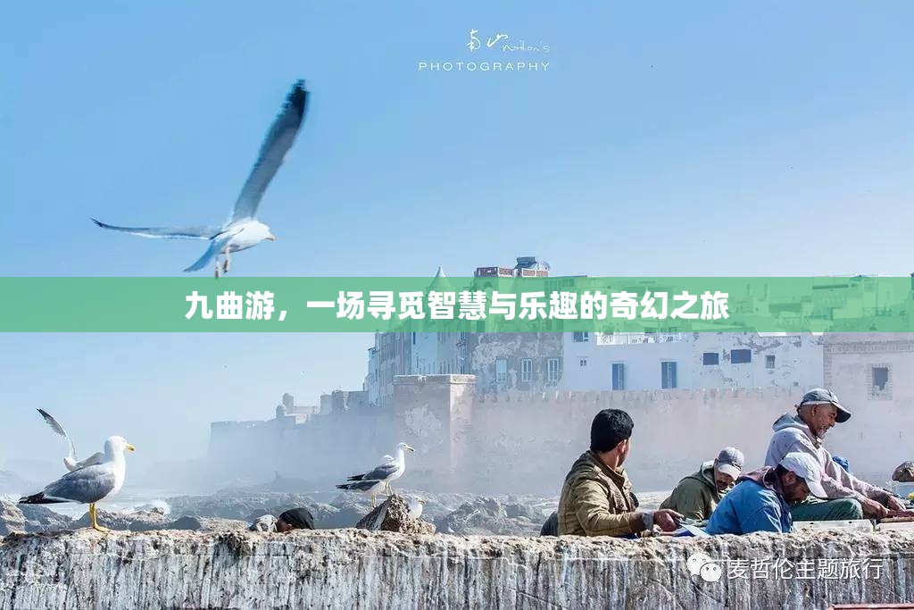 九曲游，智慧與樂趣的奇幻探索之旅