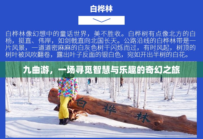 九曲游，智慧與樂趣的奇幻探索之旅