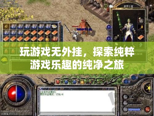 純凈之旅，無(wú)外掛游戲，探索純粹的樂(lè)趣