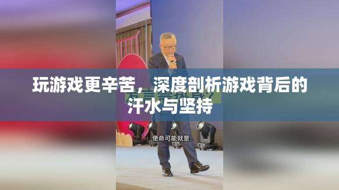 游戲背后的汗水與堅(jiān)持，深度剖析游戲玩家的艱辛之路