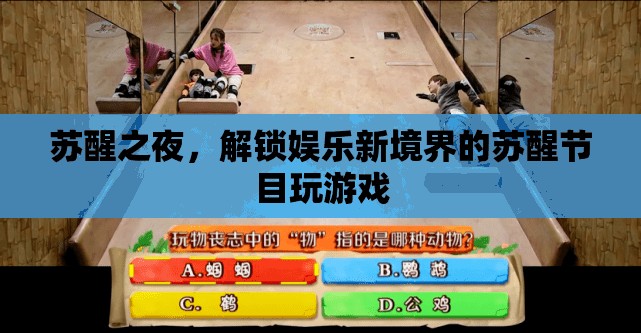 蘇醒之夜，解鎖娛樂新境界的創(chuàng)意游戲節(jié)目