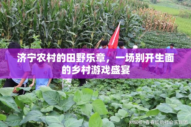 濟寧田野上的鄉(xiāng)村游戲盛宴，奏響鄉(xiāng)村生活的歡樂樂章