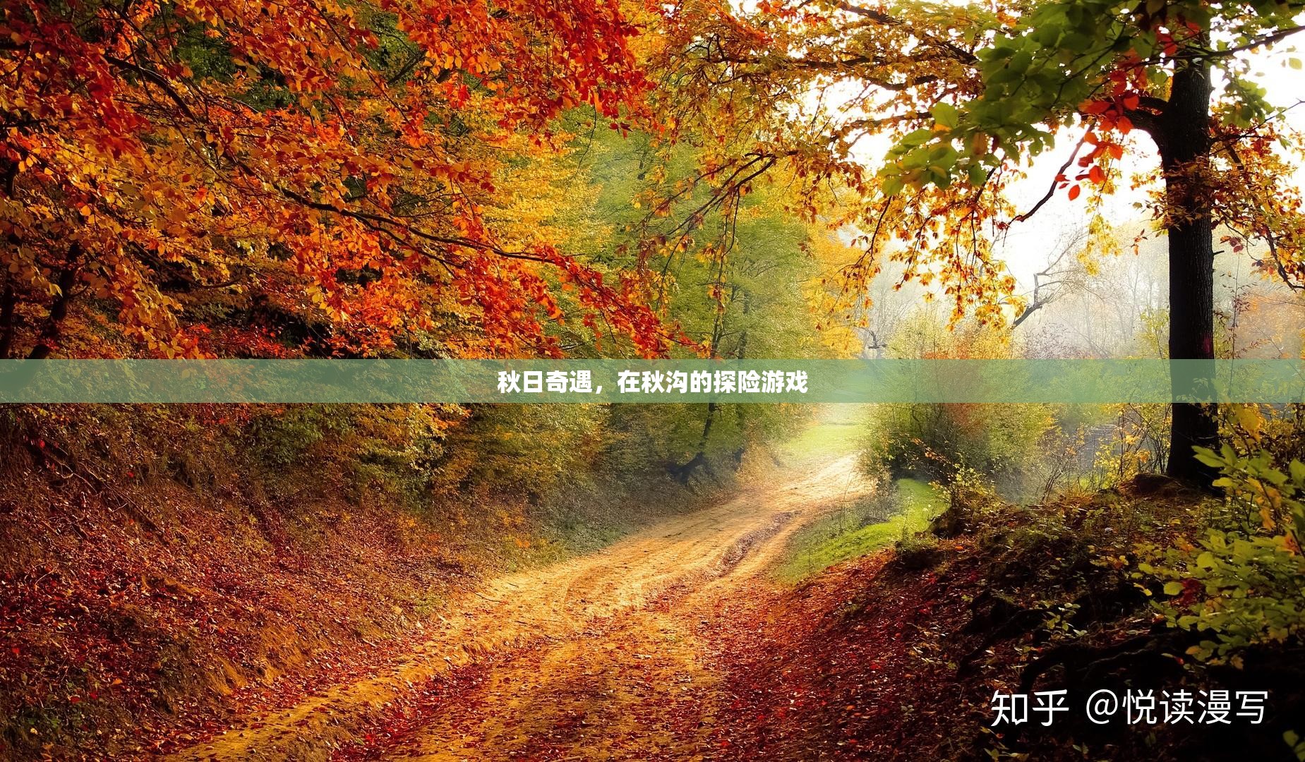 秋日奇遇，秋溝探險(xiǎn)記