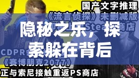 隱秘之樂，探索躲在背后玩游戲的奇妙世界