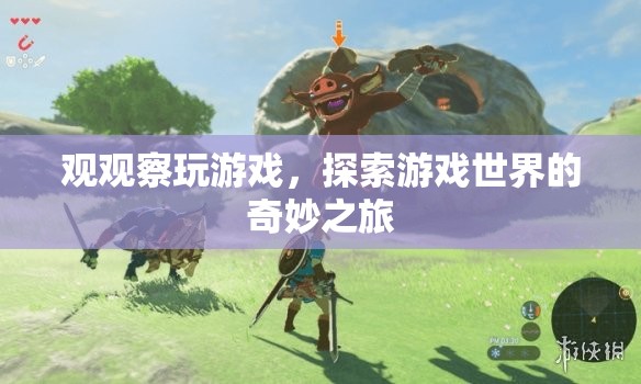 游戲世界的奇妙探索，觀觀察玩的冒險(xiǎn)之旅