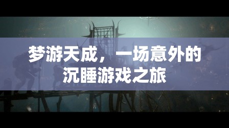 夢游天成，一場意外的沉睡游戲之旅