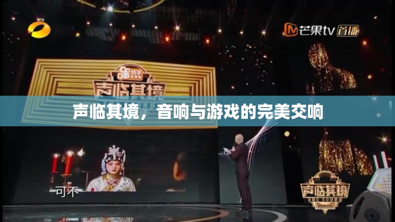 聲臨其境，音響與游戲的完美交響