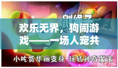 人寵同歡，歡樂無界的狗鬧游戲盛宴  第1張