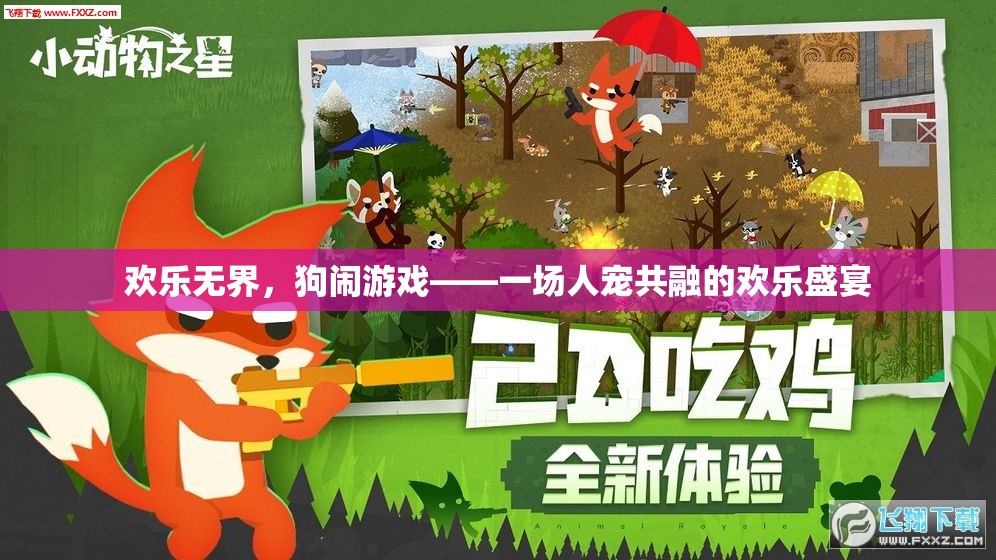 人寵同歡，歡樂無界的狗鬧游戲盛宴  第3張