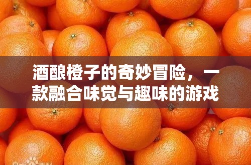 酒釀橙子的奇妙冒險，味覺與趣味的完美融合游戲