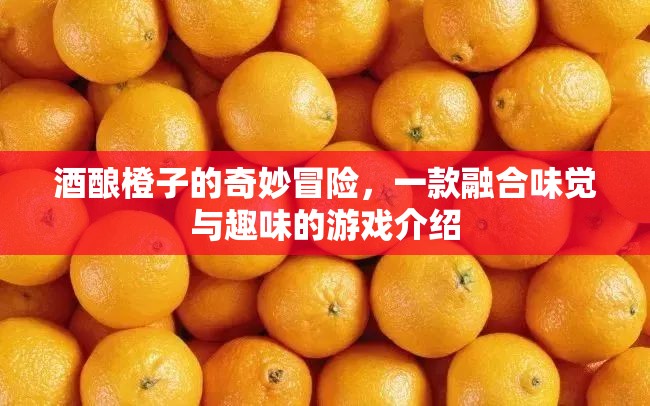 酒釀橙子的奇妙冒險，味覺與趣味的完美融合游戲
