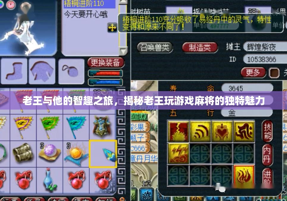 老王智趣之旅，揭秘麻將游戲中的獨(dú)特魅力
