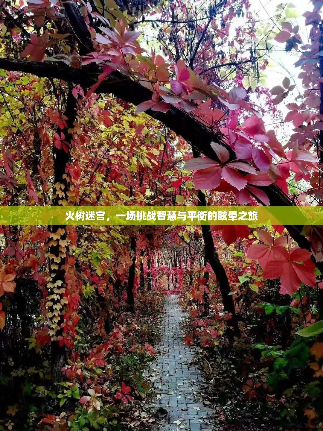 火樹迷宮，智慧與平衡的眩暈挑戰(zhàn)之旅
