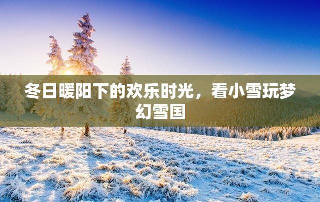 冬日暖陽(yáng)下的夢(mèng)幻雪國(guó)，小雪的歡樂(lè)時(shí)光