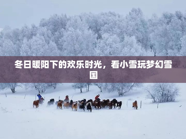 冬日暖陽(yáng)下的夢(mèng)幻雪國(guó)，小雪的歡樂(lè)時(shí)光