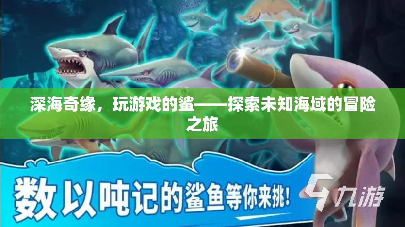 深海奇緣，與鯊共舞的未知冒險(xiǎn)之旅