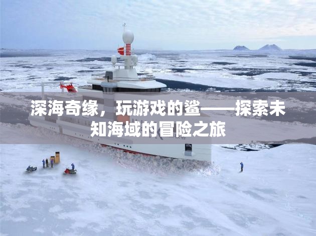 深海奇緣，與鯊共舞的未知冒險(xiǎn)之旅