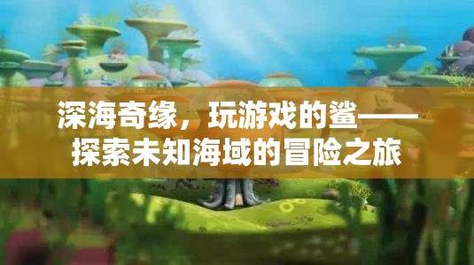 深海奇緣，與鯊共舞的未知冒險(xiǎn)之旅