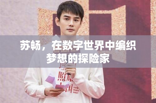 數(shù)字世界的夢(mèng)想編織者，蘇暢的探險(xiǎn)之旅