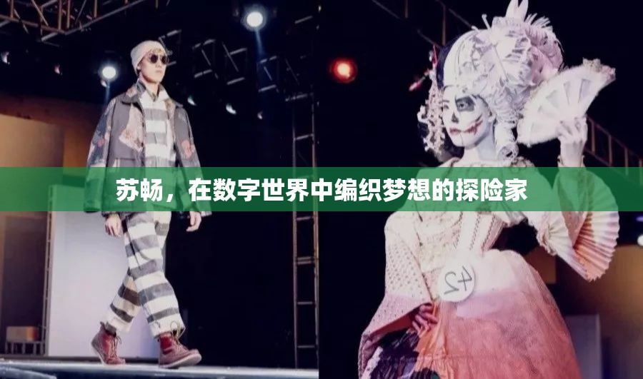 數(shù)字世界的夢(mèng)想編織者，蘇暢的探險(xiǎn)之旅