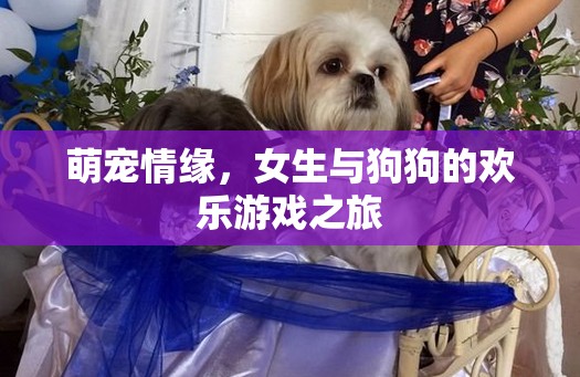 萌寵情緣，女生與狗狗的歡樂游戲之旅