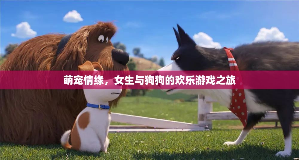 萌寵情緣，女生與狗狗的歡樂游戲之旅