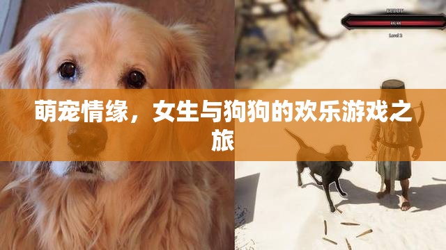 萌寵情緣，女生與狗狗的歡樂游戲之旅