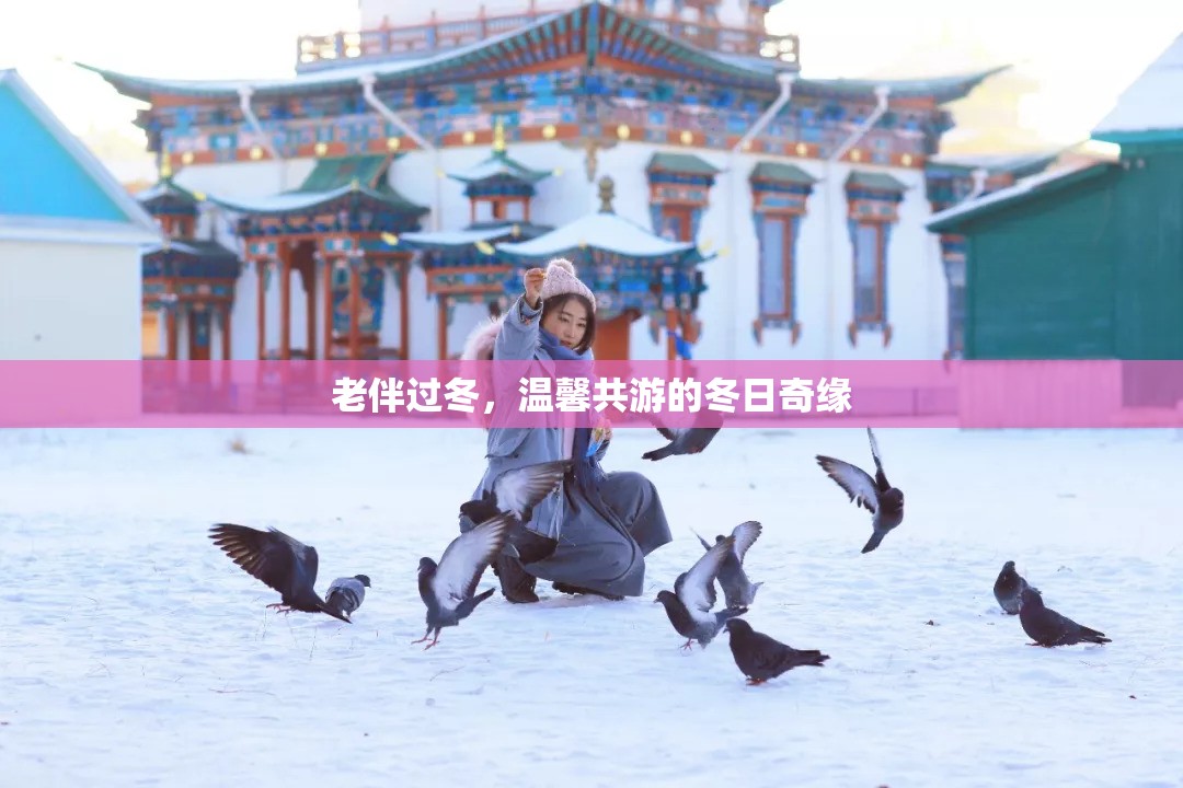 冬日共游，老伴的溫馨奇緣