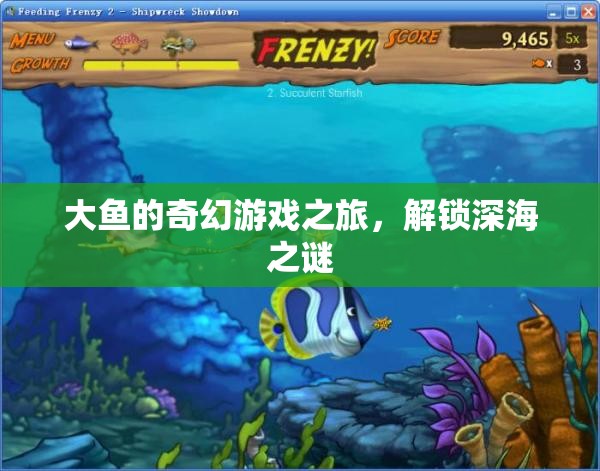 大魚奇幻深海探秘，解鎖深海之謎