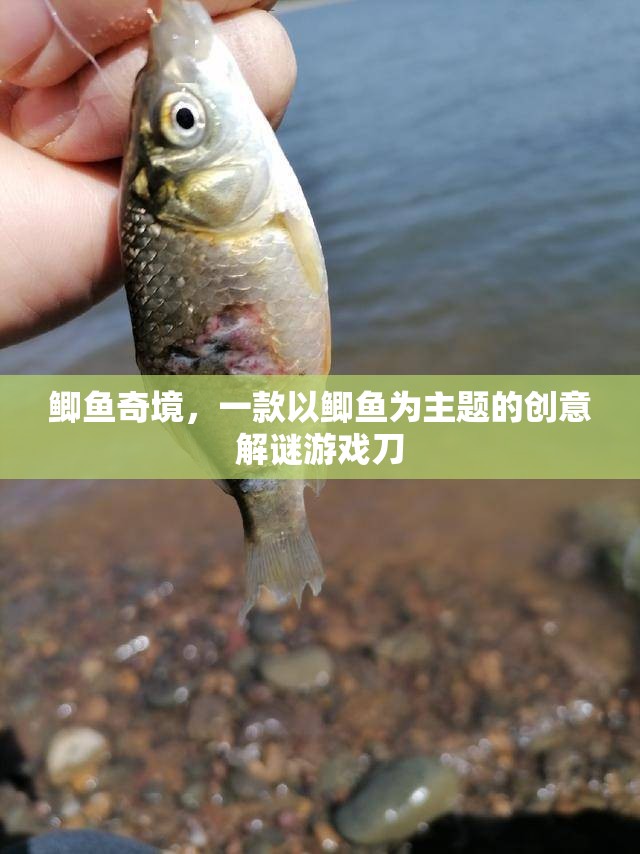 鯽魚奇境，探索鯽魚世界的創(chuàng)意解謎冒險(xiǎn)  第3張