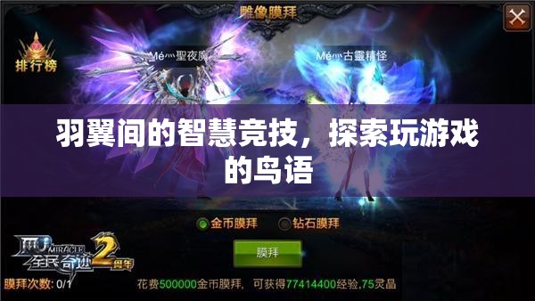 羽翼間的智慧競技，探索玩游戲的鳥語