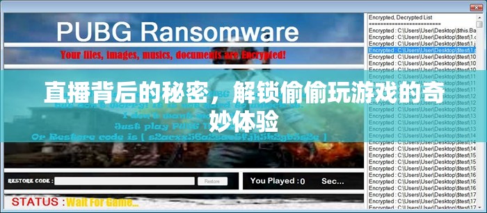 解鎖直播背后的秘密，探索偷偷玩游戲的奇妙體驗