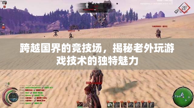 跨越國界的競技場，揭秘老外游戲技術(shù)的獨特魅力