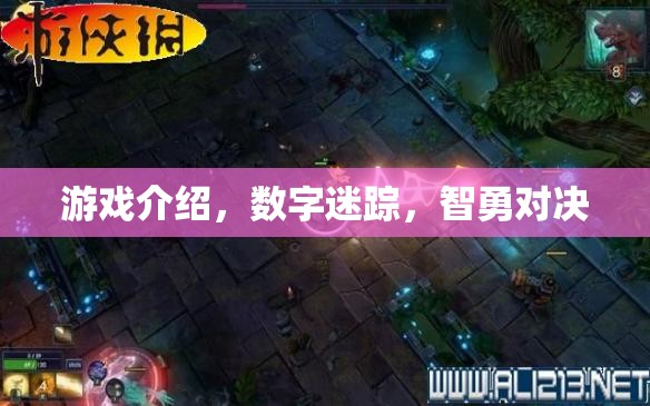 數(shù)字迷蹤，智勇對決的挑戰(zhàn)之旅